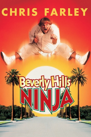 ȷʿ Beverly Hills Ninja