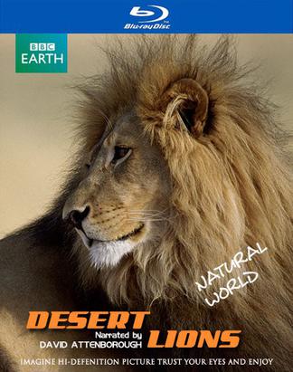 Ȼ磺ɳĮʨ Natural World: Desert Lions