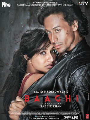 Ϊ Baaghi: A Rebel For Love