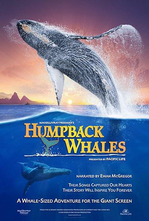 ͷ Humpback Whales