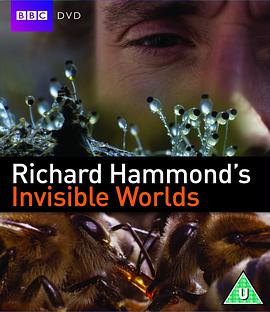 ¹ɵ£ Richard Hammond\'s Invisible Worlds