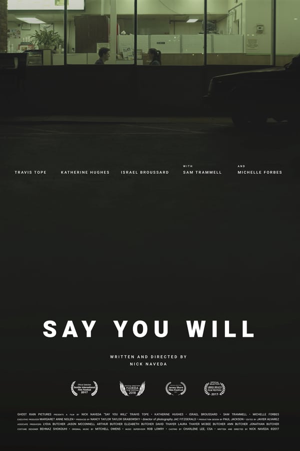 ˵Ը Say You Will