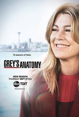 ʵϰҽ ʮ弾 Grey\'s Anatomy Season 15