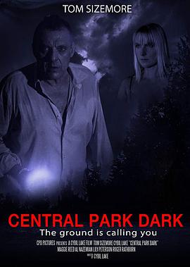 빫԰ Central Park Dark