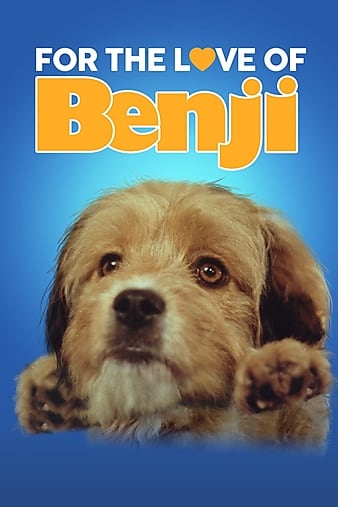 ̽ For the Love of Benji