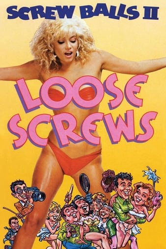 2 Loose Screws