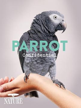 Ȼ磺 Parrot Confidential