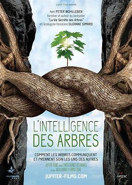 ǻ L\'Intelligence des arbres