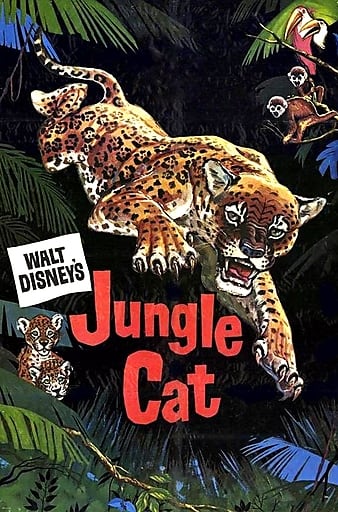 è Jungle Cat