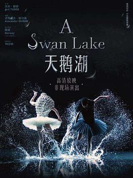 A Swan Lake