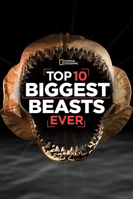 ʮа Top 10 Biggest Beasts Ever