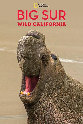 ҵ̽ߣḣǴ National Geographic Explorer: Big Sur Wild California