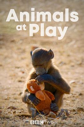 ˣ Animals at Play