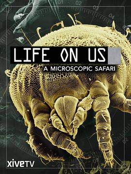  Life on Us: A Microscopic Safari