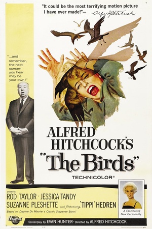 Ⱥ The Birds