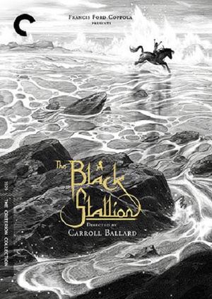 黑神驹 The Black Stallion