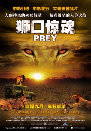 ʨھ Prey