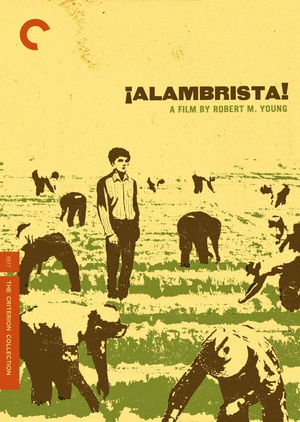 ˹ Alambrista!