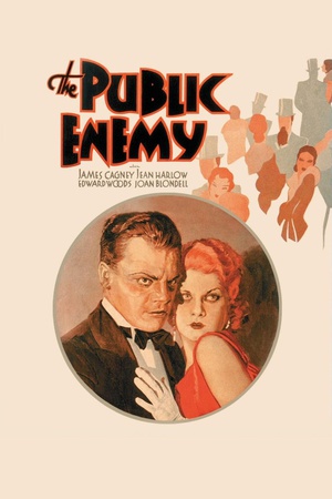 񹫵 The Public Enemy