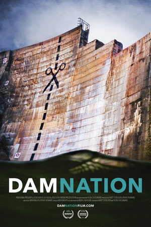 ֮ DamNation