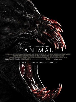 林中野兽 Animal