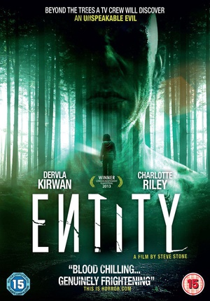 ʵ Entity