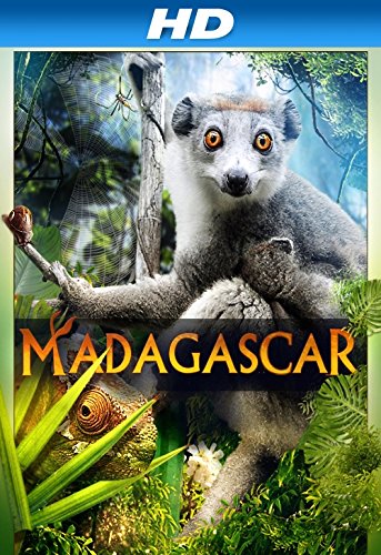 Madagascar 3D