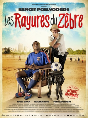  Les rayures du zbre