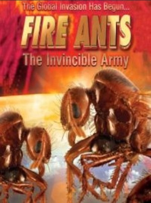 ϣսʤı Fire Ants 3D: The Invincible Army