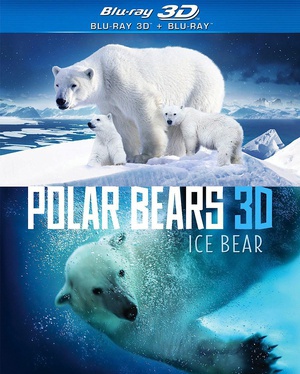 Polar Bears Ice Bear