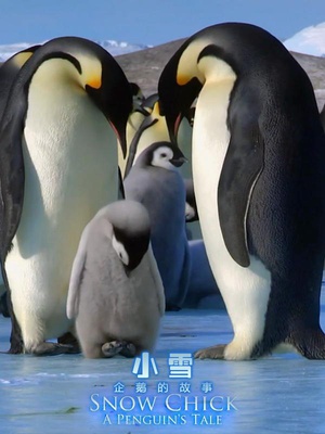 帝企鹅宝宝的生命轮回之旅 Snow Chick - A Penguin\'s Tale