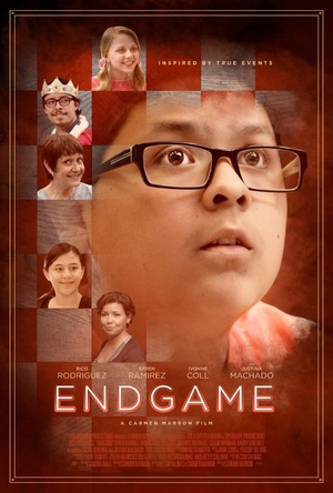 ʱ Endgame
