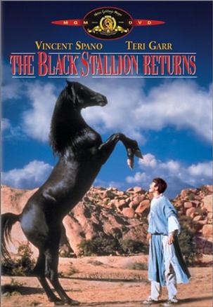 黑神驹2 The Black Stallion Returns