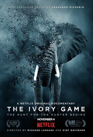 Ϸ The Ivory Game
