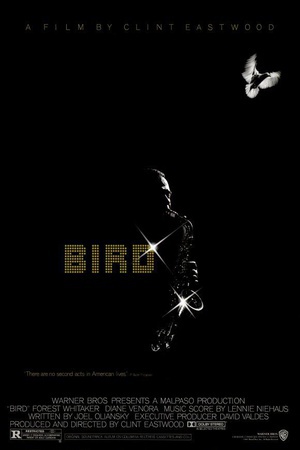 ʿ Bird