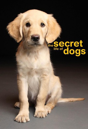  Secret Life of Dogs