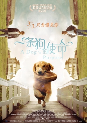һʹ A Dog\'s Purpose