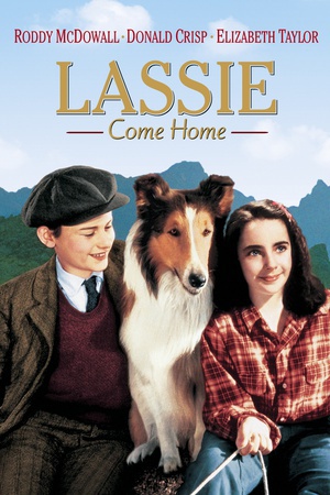 Ȯ Lassie Come Home