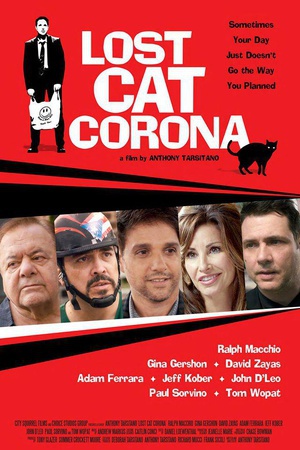 ߶ Lost Cat Corona