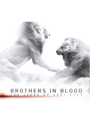 ʨ֮· Brothers in Blood: The Lions of Sabi Sand