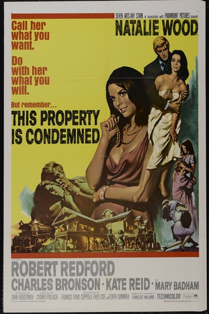 蓬门碧玉红颜泪 This Property Is Condemned