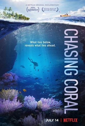׷ɺ Chasing Coral