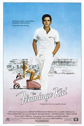 冲击 The Flamingo Kid