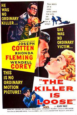 逍遥法外 The Killer Is Loose