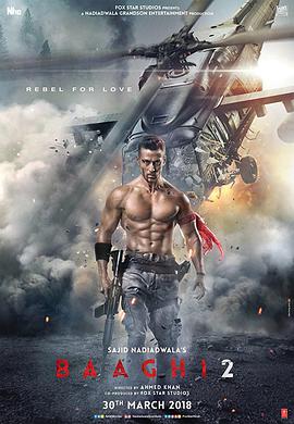 Ϊ֮ս Baaghi 2: A Rebel For Love