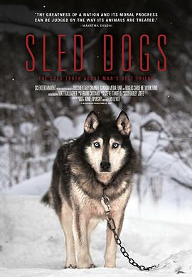 雪橇犬 Sled Dogs