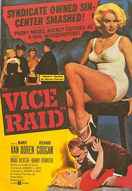 Ϯ Vice Raid