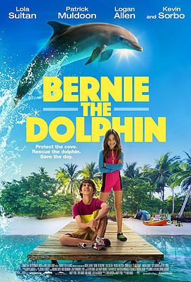 ಮ Bernie The Dolphin