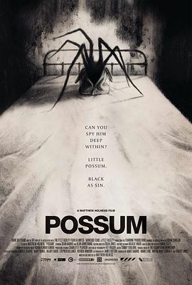 负鼠 Possum