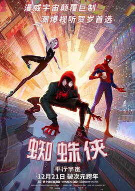 ֩ƽ Spider-Man: Into the Spider-Verse